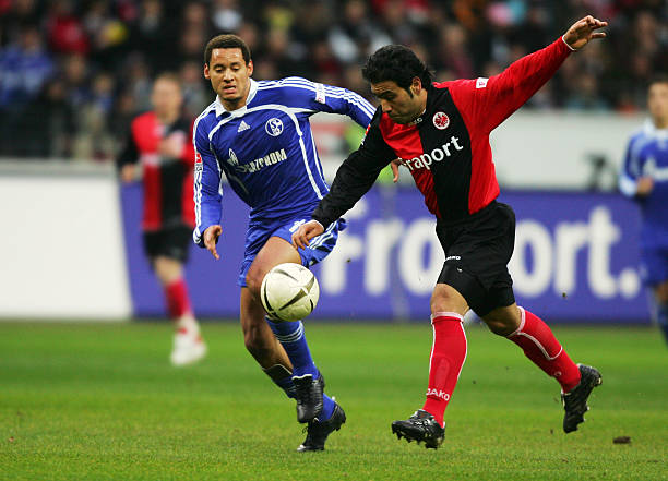 和稳健的防 和稳健的防